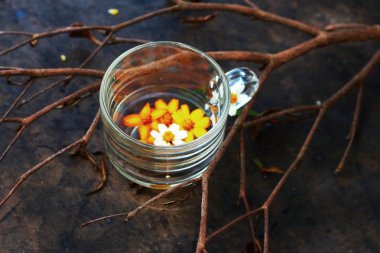 dallar üzerinde bir bardak papatya.