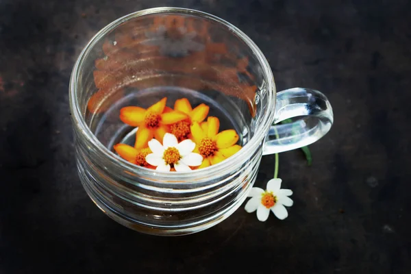 Daisies in a glass. — Stock Photo, Image