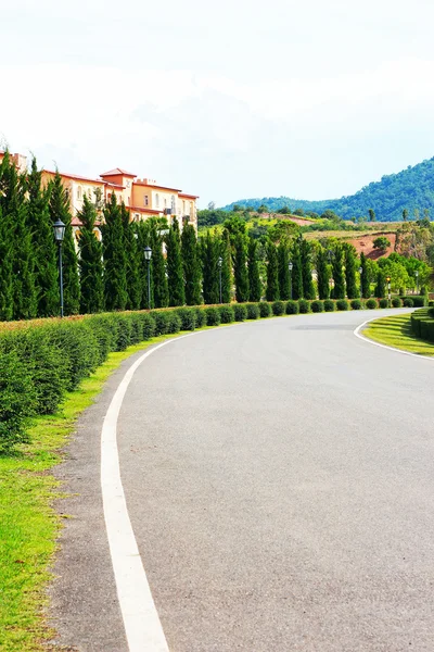 English garden with road — Stock Photo, Image