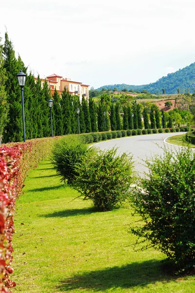 Giardino all'inglese con alberatura . — Foto Stock