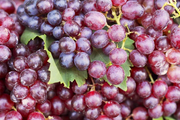 Świeże winogrona na rynku — Zdjęcie stockowe