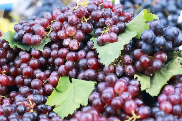 Fresh grapes on the market — Stock Photo, Image