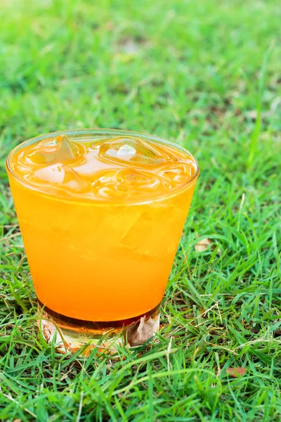 Jus d'orange op het gras. — Stockfoto