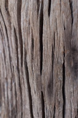 eski ahşap arka plan