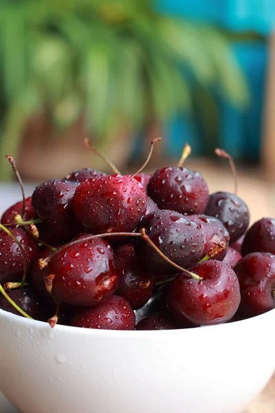 Cherry. — Stock Photo, Image