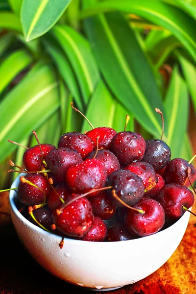 Cherry. — Stock Photo, Image