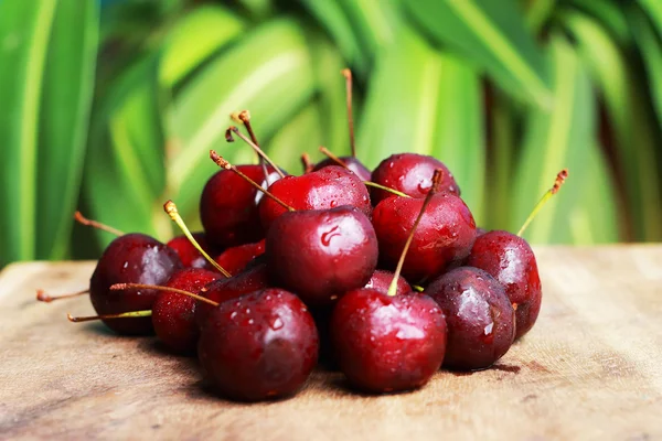 Cherry. — Stock Photo, Image