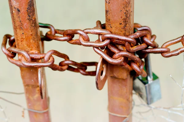 Key chain. — Stock Photo, Image