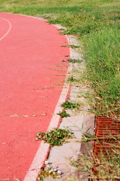 Track en gras — Stockfoto