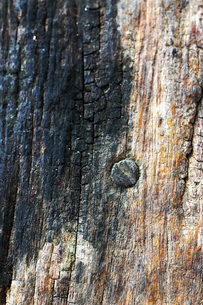 Oude hout achtergrondstructuur - vintage — Stockfoto