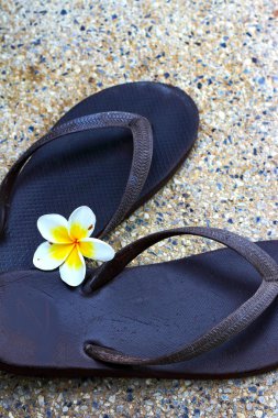plajlar ve frangipani ayakkabıları.