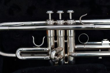 Yeşil çimenlerin üzerinde trompet.