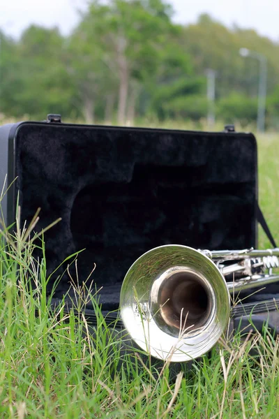 Trumpet on the green grass. — Stock Photo, Image