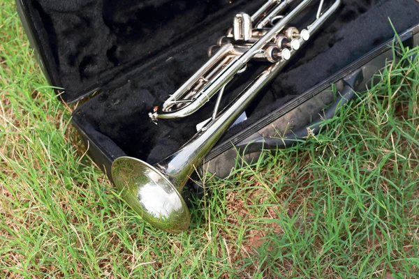 Trumpet on the green grass. — Stock Photo, Image