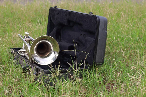 Trumpet on the green grass. — Stock Photo, Image