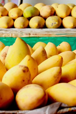 Mango meyve - Tayland