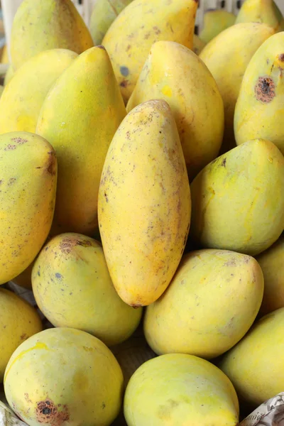 Fruta del mango - Tailandia — Foto de Stock