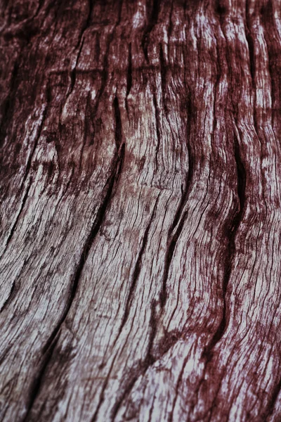 Vintage old wood background texture — Stock Photo, Image