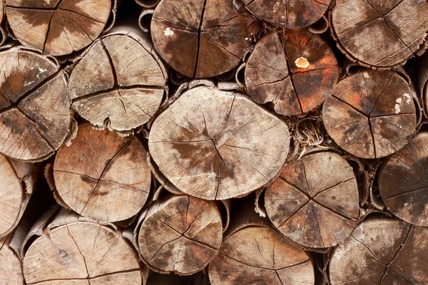 Pile of wood background — Stock Photo, Image