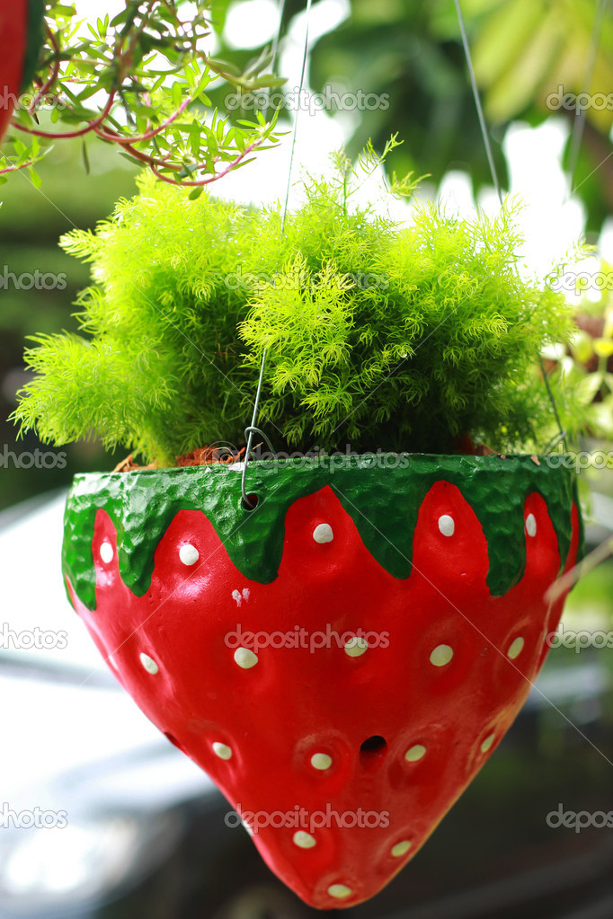 Trees in the garden - pot strawberry berry.