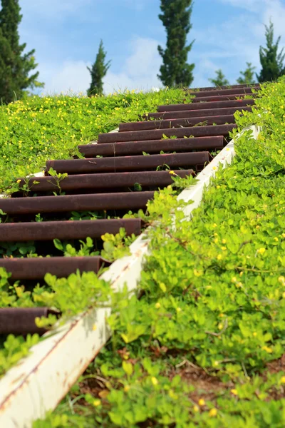 Stairs up — Stock Photo, Image