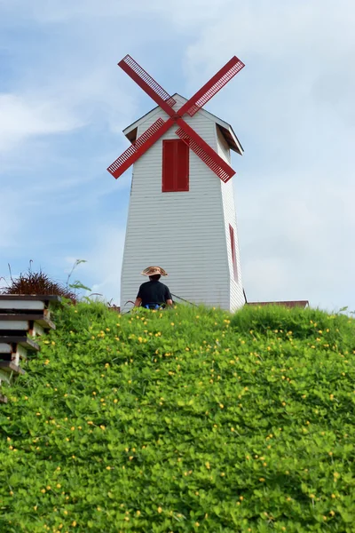 Schöne Windmühlenlandschaft — Stockfoto