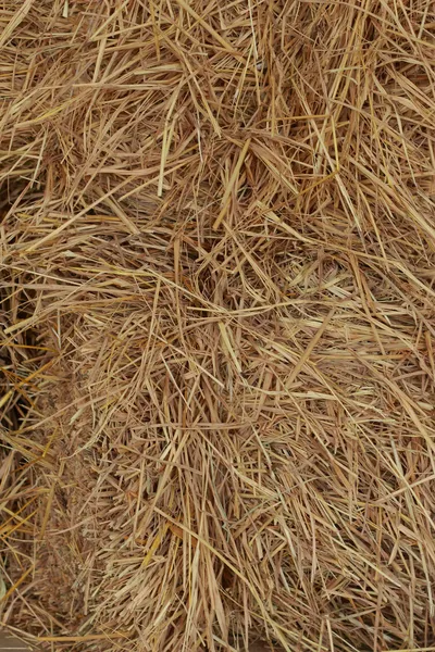 Close up of square straw. — Stock Photo, Image