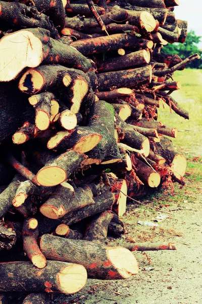 Stapel grenen hout achtergrondstructuur — Stockfoto