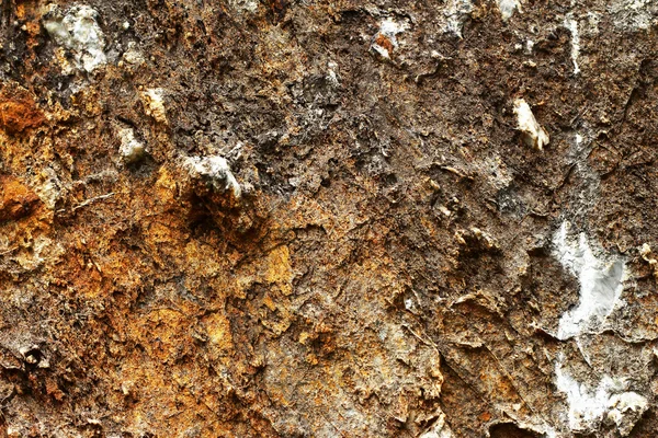 Textura de fondo de pared de piedra - vintage — Foto de Stock