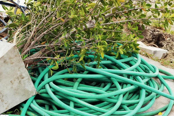 Tree fell on a green hose. — Stock Photo, Image