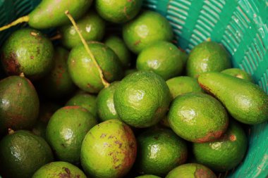 Avokado meyve Market