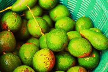 Avokado meyve Market