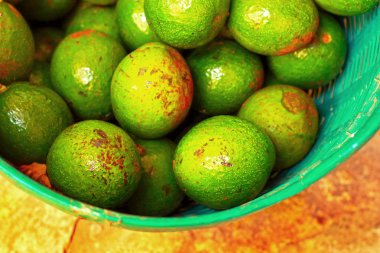 Avokado meyve.