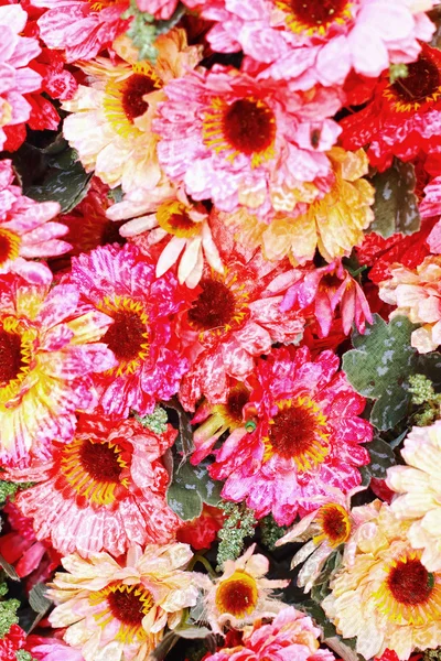 인공 꽃의 아름 다운 국화 — 스톡 사진
