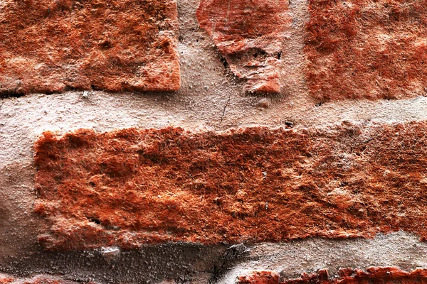 Brick wall background texture - vintage — Stock Photo, Image