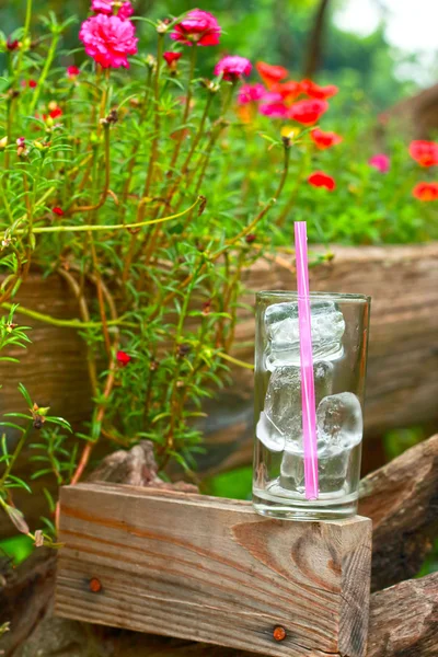 Glass of ice in the garden — Stock Photo, Image