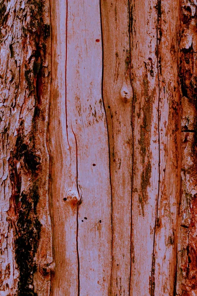 老木背景 — 图库照片