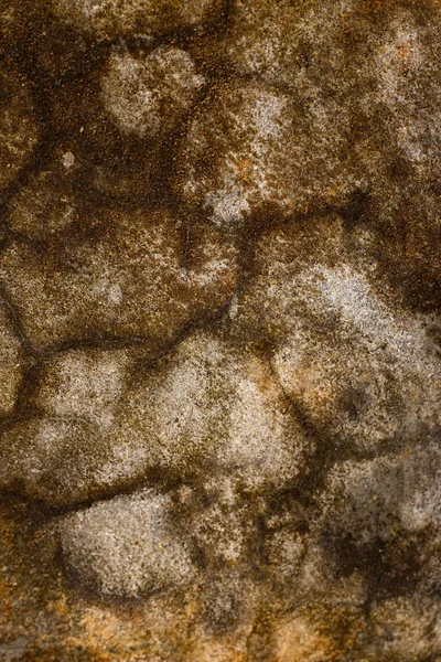 Pavimento de cimento textura de fundo — Fotografia de Stock