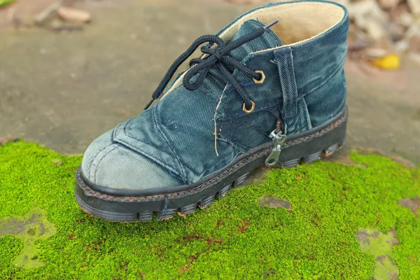 Old shoes on a moss green. — Stock Photo, Image