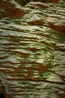 Çimento zemin arka plan dokusu