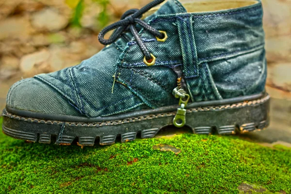 Old shoes on a moss green. — Stock Photo, Image