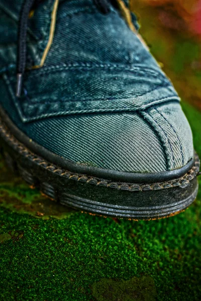 Old shoes on a moss green. — Stock Photo, Image