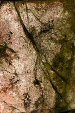 Çimento zemin arka plan dokusu