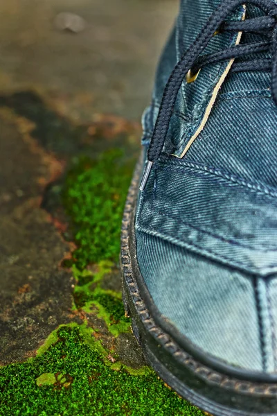 Old shoes on a moss green. — Stock Photo, Image