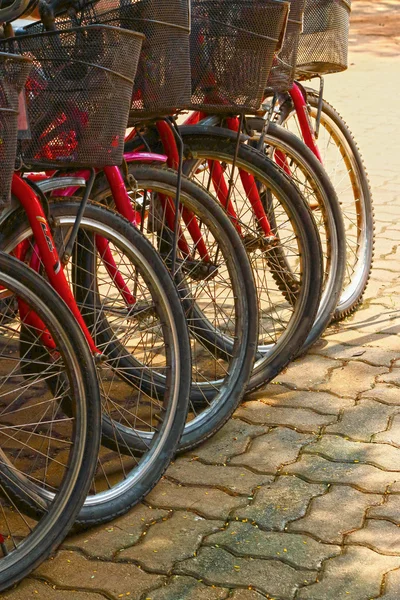 Fahrradverleih. — Stockfoto