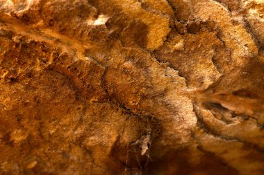 Toprak kırmızı arka plan.