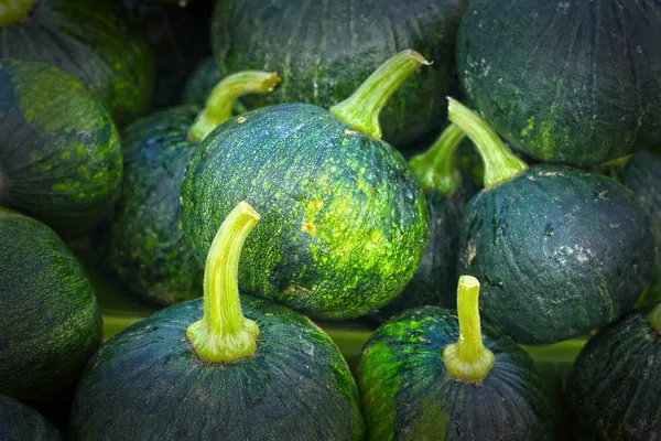 Piccola zucca verde fresca nel mercato — Foto Stock