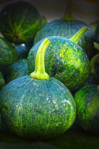 Pequeña calabaza verde fresca en el mercado —  Fotos de Stock