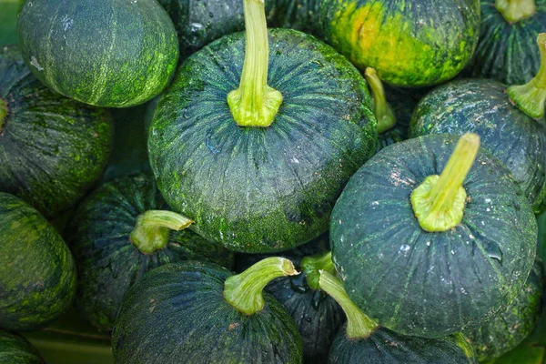 Свіжий зелений маленький гарбуз на ринку — стокове фото