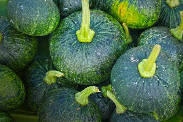 Verse groene weinig pompoen op de markt — Stockfoto